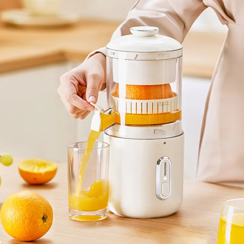 Multifunctional Electric Juicer