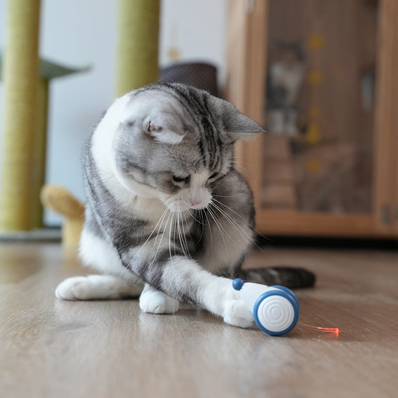 Electric Mouse Cat Toy